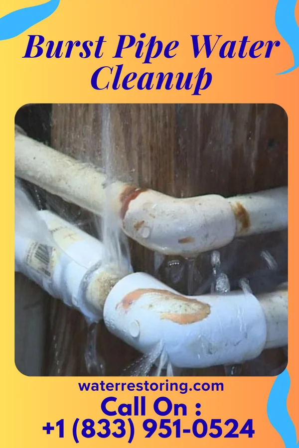 Burst Pipe Water Cleanup in Toftrees, PA