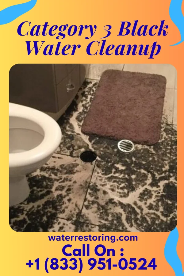 Category 3 Black Water Cleanup in Toftrees, PA