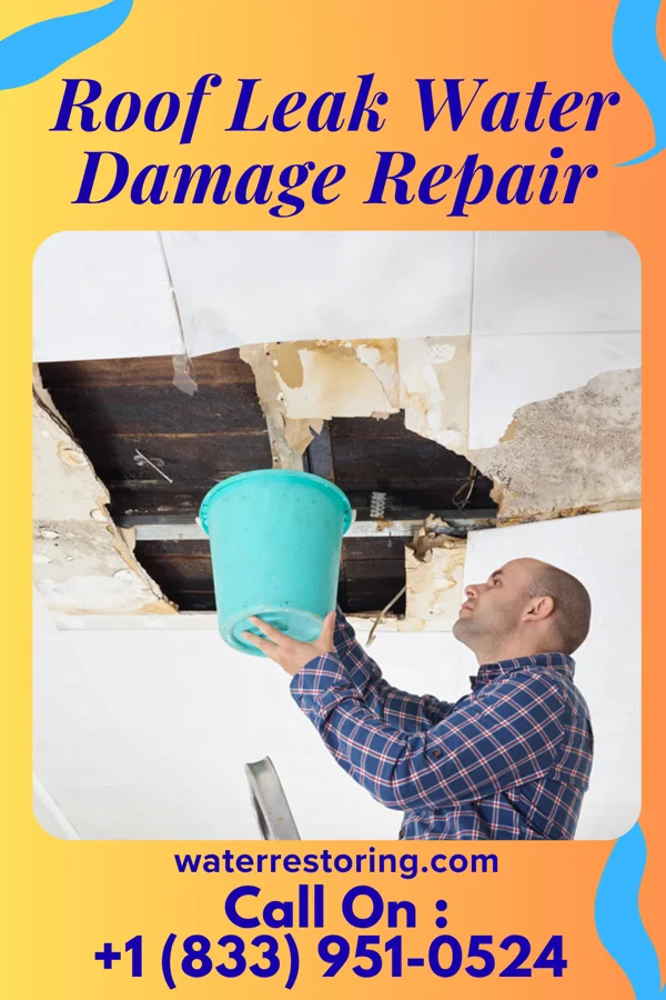 Roof Leak Water Damage Repair in Toftrees, PA