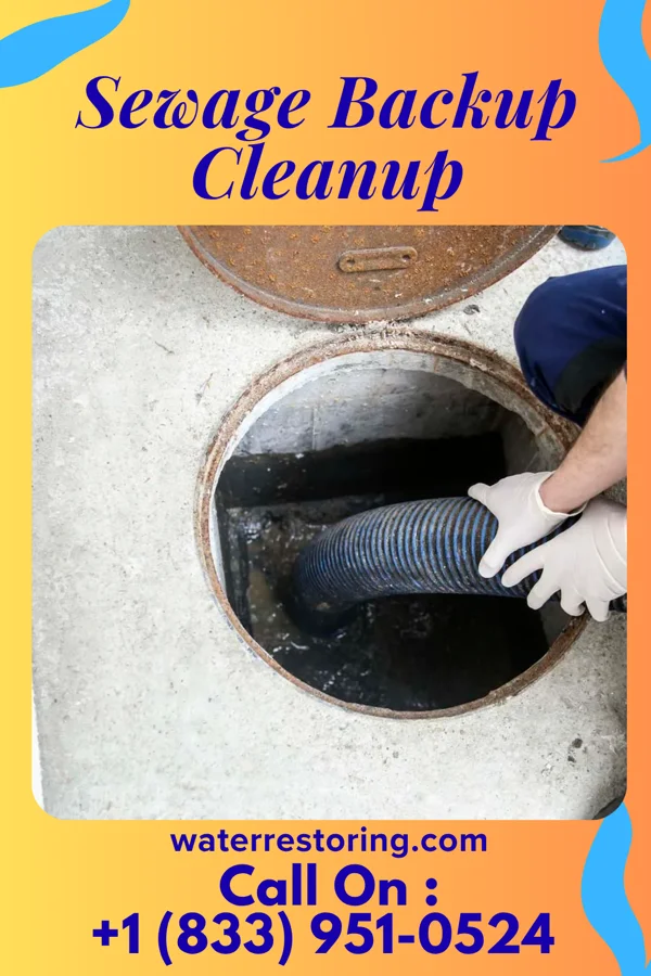 Sewage Backup Cleanup in Toftrees, PA