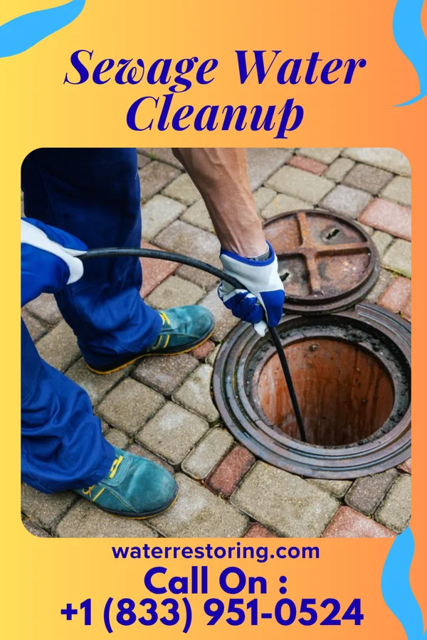 Sewage Water Cleanup in Toftrees, PA