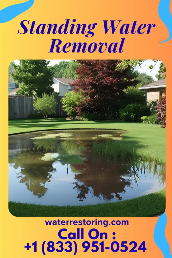 Standing Water Removal in Toftrees, PA